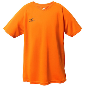 �e�h�m�s�`�i�t�B���^�j�bJR�Q�[���V���c�i�I�����W)�bFNT-FT3004-6100