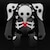 �O�b�h�X�}�C���J���p�j�[�bBRICKROID ��4�̎g�k�i�����@���Q�������V����Łj�bBRICKROID �޲4ɼ�