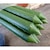 �V���Z�C�b�C�{�|�x�� 10P�i��8�~750mm�j�b36401
