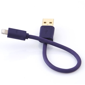 �`�c�k�bUSB-A type�́yiPod�z�^�C�v�y0.10m�E1�{�z�bID8-A/0.10
