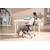 COFO(コフォ)｜Chair Premium(グレー・サイズ：幅66×奥行69×高さ115～122cm)｜FCC-XG