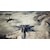 �o���_�C�i���R�G���^�[�e�C�������g�b�yPS4�zACE COMBAT 7: SKIES UNKNOWN�@PREMIUM EDITION�bPLJS-36161 PS4 ������ޯ�7 ���бѴ�ި���