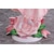 PROOF�b1/7 ����܌� �V�gver.�i�ܓ����̉ԉŁ�j�b1/7 Ŷɲ· �ݼVER