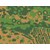 CROSSDELTA�b1/35 �����̎� �p�^�[��B�yMIL-35-026�z�bMIL-35-026 ���ɷ �����B
