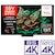 TCL�b55V�^ Mini LED�t���e���r�mBS�ECS 4K�`���[�i�[�����n�b55C7K