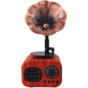 PASSON�bFM���W�I�EBluetooth�X�s�[�J�[�yFM��p�z�bFT-05U-WD