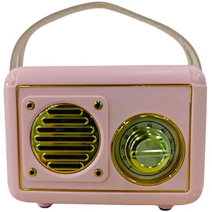 PASSON�bFM���W�I�EBluetooth�X�s�[�J�[�yFM��p�z�i�s���N�j�bFT-BT20-PK