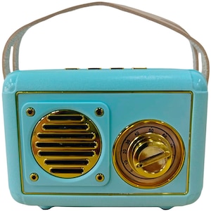 PASSON�bFM���W�I�EBluetooth�X�s�[�J�[�yFM��p�z�i�u���[�j�bFT-BT20-BL