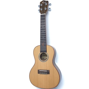 �J�C�E�N�����b�R���T�[�g�E�N�����bKC-700