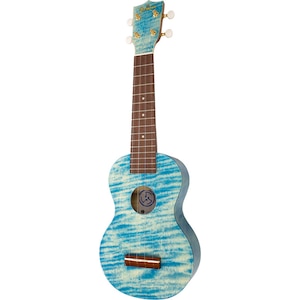 �t�F�C�}�X�b�\�v���m�E�N�����bFS-S10/BL