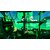 3goo�b�ySwitch�z�j�R���f�I�� �I�[���X�^�[�嗐�� �A���e�B���b�g�G�f�B�V�����bHAC-P-A2GLD NSW ƺ��޵� ��ٽ���޲��ĳ