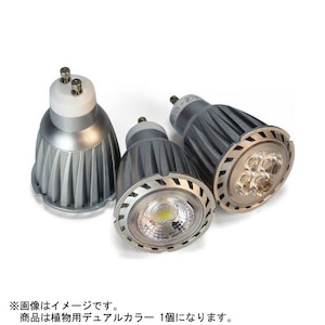 �x���p�[�g�i�[�bbrio35��pLED���C�g(�A���p�f���A���J���[)1�b329028