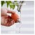 �^�b�`�r���[�e�B�[�b�G�`�P�b�g�J�b�^�[�y�@�p�z�y�[�d���z�bTB1951-OR