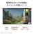 ASUS�b�G�C�X�[�X�b�N���G�C�^�[�t���f�B�X�v���C(31.5�^/IPS/6K 6016�~3384/5ms)(�V���o�[)�bPA32QCV