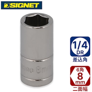 SIGNET�b1/4DR 8mm�\�P�b�g(6�p)�b11308