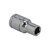 SIGNET�b1/4DR 5.5mm�\�P�b�g(6�p)�b11355