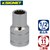 SIGNET�b1/2DR 11mm�\�P�b�g(12�p)�b13366