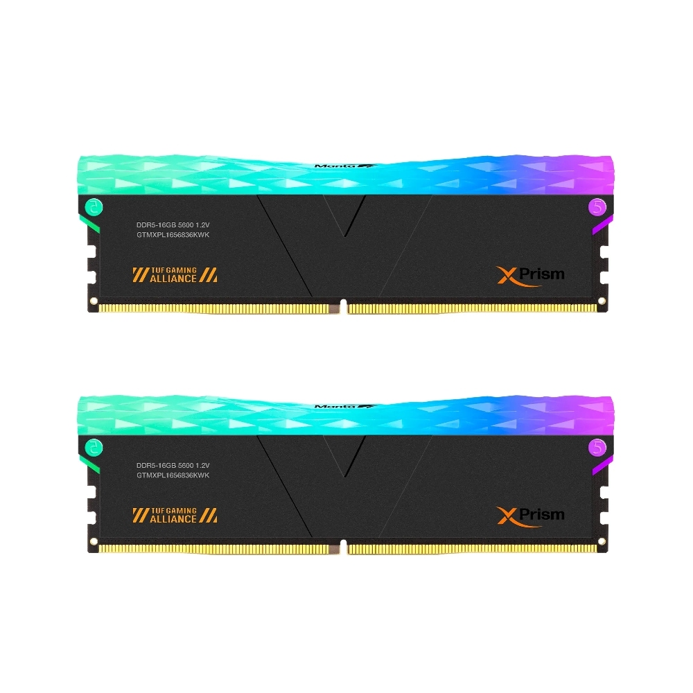GTMXPL1656836KWK [DDR5 PC5-44800 16GB 2g]