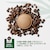 �l�X���b�l�X�J�t�F�@�h���`�F�O�X�g�@ �l�I�@�N���V�b�N�z���C�g�bMD9782-CW