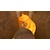 �C�V���b�ySwitch�z�[���_�̓`�� �X�J�C�E�H�[�h�\�[�h HD�bHAC-P-AZ89A NSW ��������ݾ� �������޿���