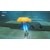 �C�V���b�ySwitch2�z�[���_�̓`�� �u���X �I�u �U ���C���h Nintendo Switch 2 Edition�bNXS-P-AAAAH NSW2 ��������ݾ� ��ڽ ��� �� ܲ���