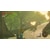 �C�V���b�ySwitch2�z�[���_�̓`�� �u���X �I�u �U ���C���h Nintendo Switch 2 Edition �_�E�����[�h�ŁbHAC-G-AAAAAD0 NSW2 ��������ݾ� ��ڽ ��� �� ܲ��� DL