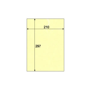 �q�T�S�b�a�����N���b�|�C�[�X�g�mA4/���F/100�����n�bCE01A4