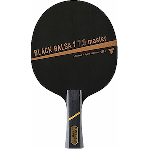 ���B�N�^�X�b�u���b�N�o���TV7.0 MASTER FL�b310634