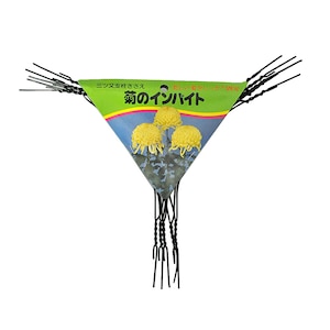 �n�ӑׁb�e�̃C���o�C�h 5�{���bWT-2057332
