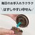 �^�C�K�[�b�^��f�M�t�[�h�W���[�@0.5L�@�N���E�h�u���[�bMKL-W050AL