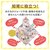 �^�J���g�~�[�b�J�~�J�~�p���p���z������ ������̃W���[�W�b�ж��������ɱ��� ���ɼޮ���