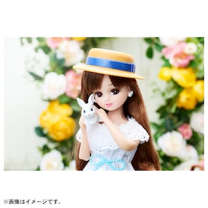 リカちゃんは定番のお人形遊びに加え、コレクションとしても人気