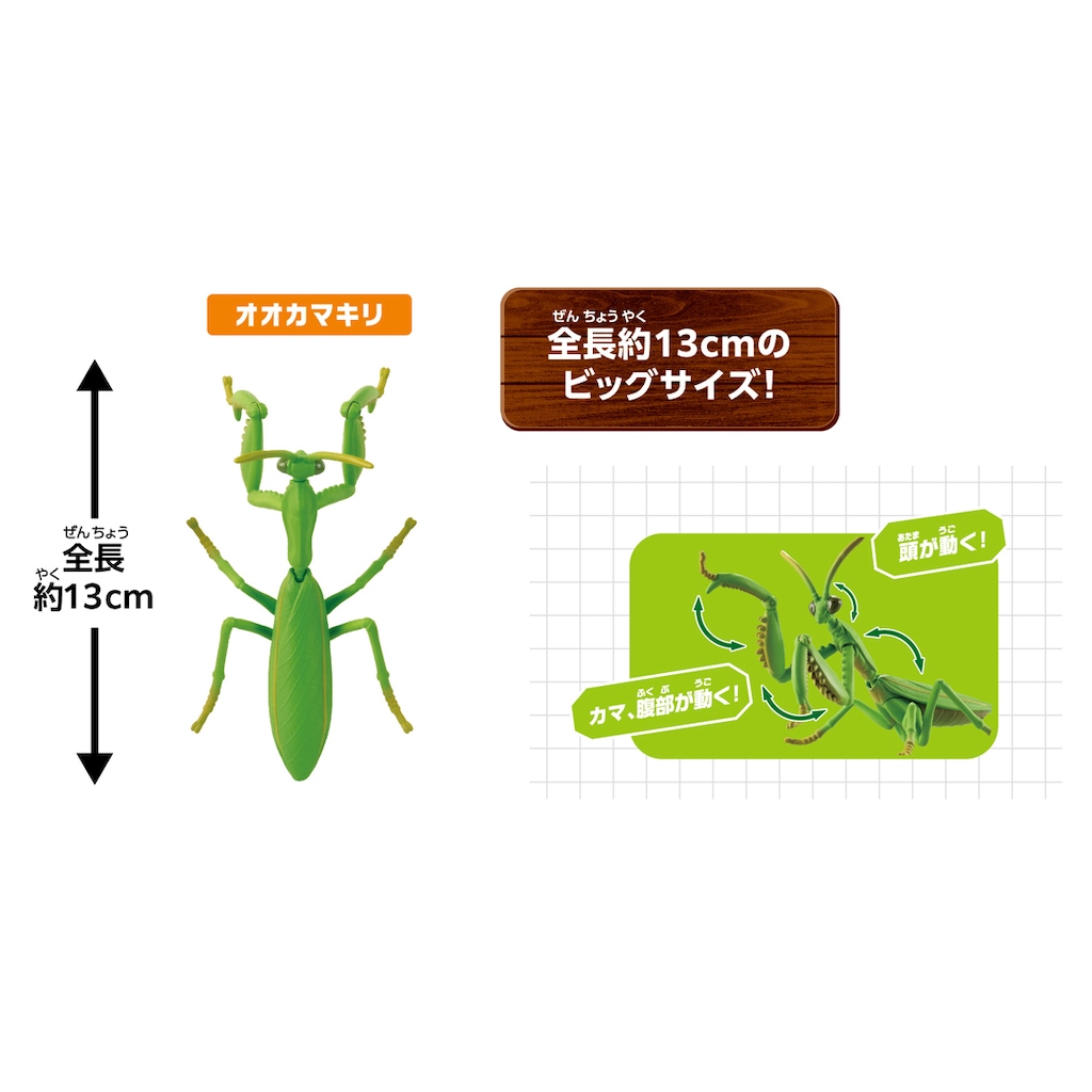 アニア 大自然の最強いきものセット | タカラトミー | アニア