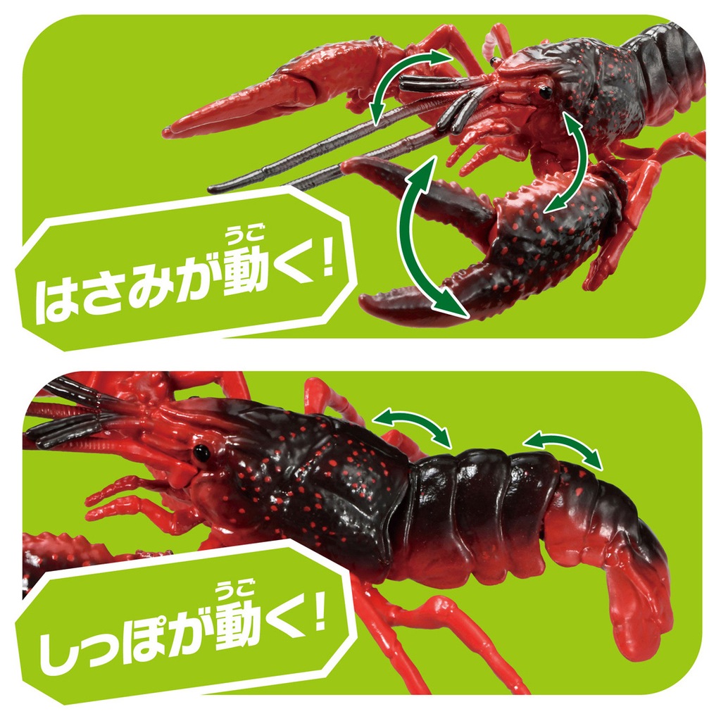 ザリガニ商店 アニア AL-31 アメリカザリガニ | タカラトミー | アニア AL-31