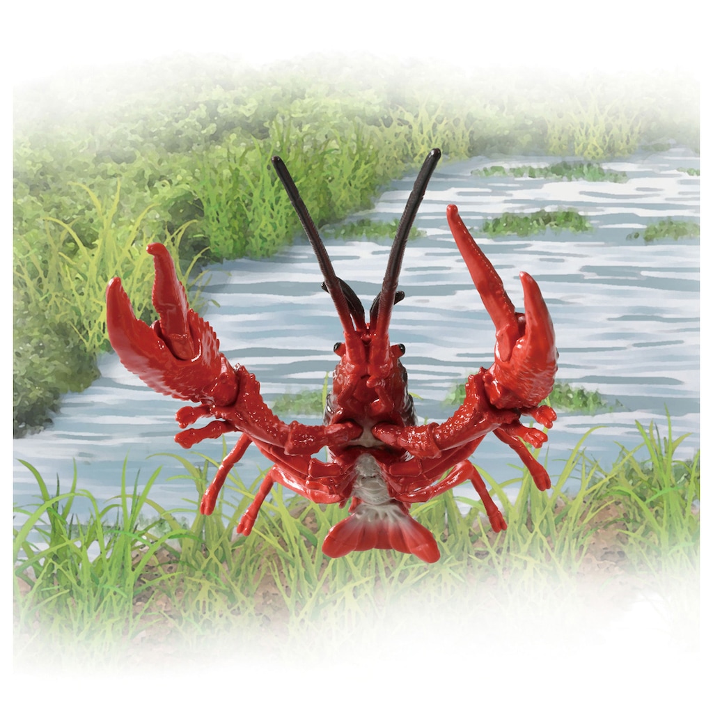 ザリガニ商店 アニア AL-31 アメリカザリガニ | タカラトミー | アニア AL-31
