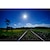�\�j�[�bVario-Tessar T* FE 16-35mm F4 ZA OSS�bSEL1635Z