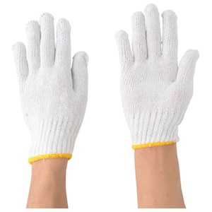 �쐼�H�Ɓb���a�R��NT450 �t���[�T�C�Y (12�o��)�b2942