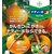 �o�C�G���b�E�ۍ� �i�e�B�[�{ �t���A�u�� 500ml�bBA-2056652