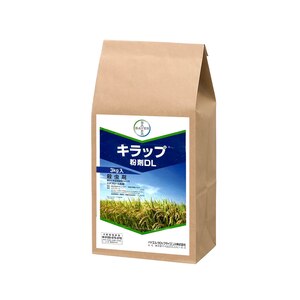 �o�C�G���b�L���b�v����DL 3kg�bBA-2056640