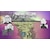�n�s�l�b�g�b�y���T�t�z�ySwitch�z�A�[�e�B�X �C���p�N�g�bHAC-P-BV66B NSW �-è� ���߸�
