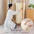 西川(nishikawa)｜睡眠ラボ ドッツ ハッピーボックス4点セット｜HZ05259420 970