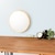�p���f�b�N�b�E�H�[���~���[ �ی^ �ؐ��t���[�� ���a46.5cm �A�R�E�X�e�B�b�N�i�i�`�������j�bAC-460NA