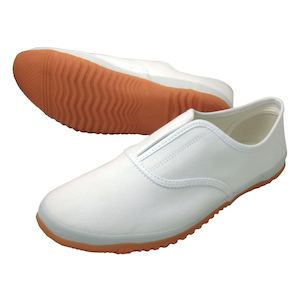 �쑽�b�����낤(�z���C�g 25.0)�bDK500-WH-25.0