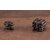 �R�g�u�L���bNON�X�P�[�� S-EGR-06 �X�J�C�O���i�G���H���C�h�j �yIT006�z�bKB IT006 S-EGR-06 ������