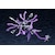 �R�g�u�L���bNON�X�P�[�� �^�C�_�� �I���P�[�g�X�i�[�m�A���}�j�yAS010�z�bKB AS010 ����ٵٹ�Ľ