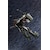 �R�g�u�L���b�y�Đ��Y�z1/24 �w�L�T�M�A �X�e�B�[�����C���yHG055R�z�bKB HG055R �è-�ڲ�