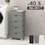 HAGIHARA(����)�b�����h���[�`�F�X�g(�_�[�N�u���E���E��40.5�~���s30.5�~����85cm)�bRAN-2411DBR