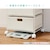 HAGIHARA(����)�b�����h���[�`�F�X�g(�O���[�E��40.5�~���s30.5�~����109.5cm)�bRAN-2415GY