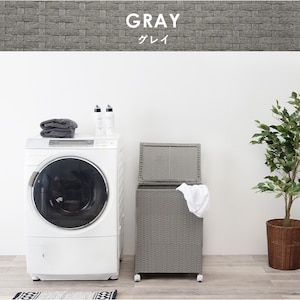 HAGIHARA(����)�b�L���X�^�[�t���[�{�b�N�X(�O���[�E��50�~���s38�~����67cm)�bRUD-2422GY
