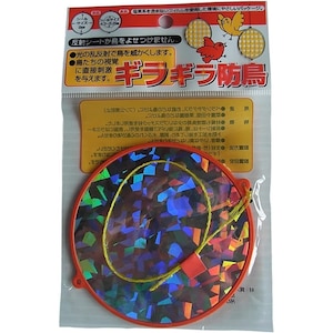 �R���p���b�M���M���h���b205247